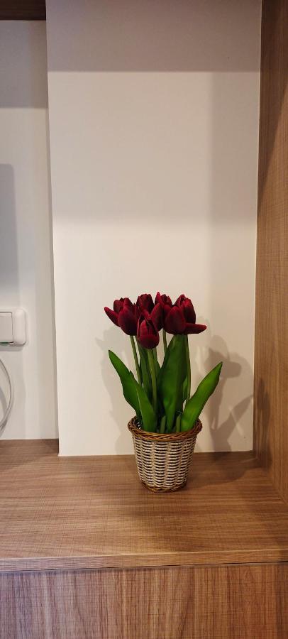 Lahabana Huahin By Moji Apartment Ngoại thất bức ảnh